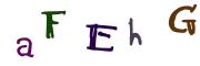Image CAPTCHA